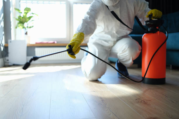 Reliable Odor Removal contractor in Union, NJ by Trauma Clean Pros